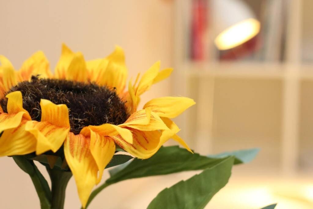 Fast Friend - Cozy Apartment In The Center With Private Garage 리예카 외부 사진